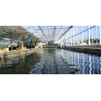 Bekijk de deal van Wowdeal: Vier uur indoor vissen incl. materiaal bij Indoor Visrivier Reuver