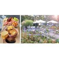 Bekijk de deal van Wowdeal: Wandel/fietsarrangement met koffie/thee, wat lekkers en borrelplank in Jorine's Theetuin