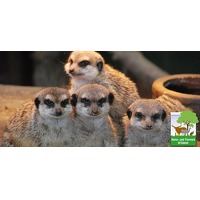 Bekijk de deal van Wowdeal: Entreeticket bij Natur- und Tierpark Brueggen