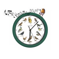Bekijk de aanbieding van DealDonkey.com 2: Starlyf Birdsong clock