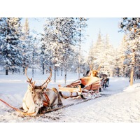 Bekijk de aanbieding van Traveldeal.nl: 8-daagse winterreis naar Fins Lapland