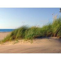 Bekijk de aanbieding van ZoWeg.nl: Zoweg Deal! 3 dagen Schoorl incl. diner