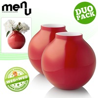 Bekijk de aanbieding van voorHAAR.nl: 2 x Menu glazen vaas