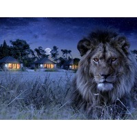 Bekijk de aanbieding van Traveldeal.nl: 3, 4, 5 of 6 dagen overnachten in een luxe (Savanne) Lodge met SAUNA tussen de wilde dieren op Safari Resort Beekse Bergen o.b.v. logies