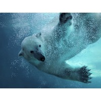 Bekijk de aanbieding van Traveldeal.nl: Verblijf 2 dagen in een 4*-hotel in Emmen