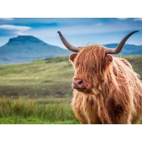 Bekijk de aanbieding van Traveldeal.nl: Een once-in-a-lifetime IJsland's avontuur!