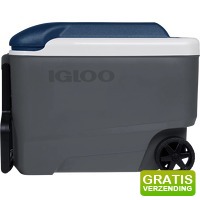 Bekijk de aanbieding van Coolblue.nl 1: Igloo Maxcold 40R
