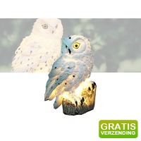 Bekijk de aanbieding van DealDonkey.com 3: Solar LED Verlichte Uil - Zonne-energie