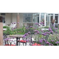 Bekijk de aanbieding van Voordeeluitjes.nl: Hotel 't Wapen van Ootmarsum