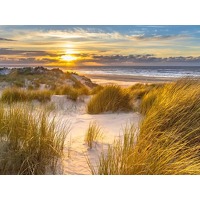 Bekijk de aanbieding van ZoWeg.nl: 3 dagen incl. Schiermonnikoog en diner