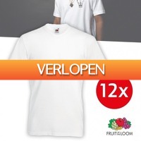 Pricestunter.nl: 12 x Fruit of the Loom T-shirts