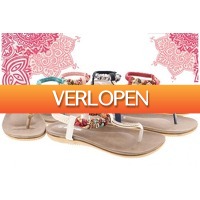 Dailygrabdeals.com: Mrchlabel Strass slippers