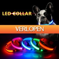 ClickToBuy.nl: LED halsband voor de hond
