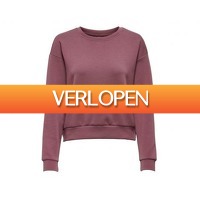 Avantisport.nl: Only Play Lounge LS O-Neck dames sweater