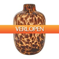 Xenos.nl: Vaas cheetah - 16.5 x 25.5 cm