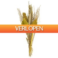 HEMA.nl: Droogbloemen boeket geel