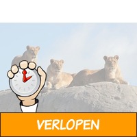 Veiling: Wildlands in Emmen tickets (2 p.)