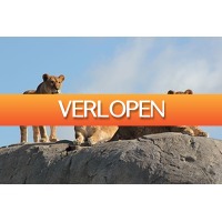 VakantieVeilingen: Veiling: Wildlands in Emmen tickets (2 p.)