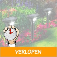 2 x luxe solar tuinlamp met sensor