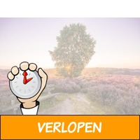 4*-Mystery hotel op de Veluwe incl. dagentree Wellnessr..