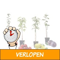 4 winterharde pilaar-fruitbomen