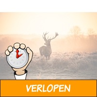 3 dagen Veluwe