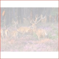 3 dagen Van der Valk Veluwe