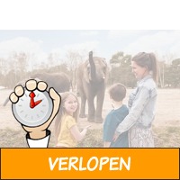 Safaripark Beekse Bergen entreeticket