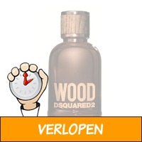 Dsquared Wood for him eau de toilette 100 ml