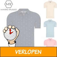 Polo's van Mario Russo