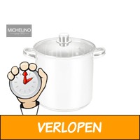 Michelino RVS soeppan 14 Liter