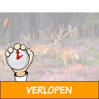 4 dagen op de Veluwe