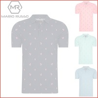 Polo's van Mario Russo