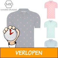 Polo's van Mario Russo