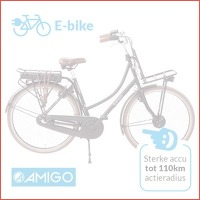 Elektrische damesfiets Amigo E-Strong T1