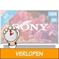 Sony Bravia KD-65 x 95 K (2022) + Soundbar