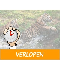 Veiling: Safaripark Beekse Bergen tickets (2 p.)