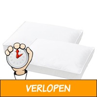 2 x Ten Cate Boxkussen