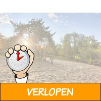 FLASHDEAL! Verblijf 2, 3 of 4 dagen in een 4*-hotel in..