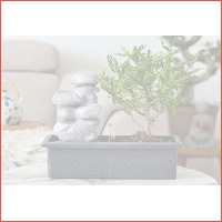 Bonsai boom met zen stenen