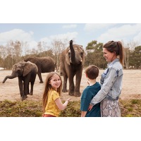 Safaripark Beekse Bergen entreeticket