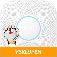 Google Nest Protect V2 Netstroom