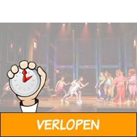 Veiling: The Bodyguard - Beatrix Theater Utrecht ticket..