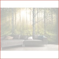 FEDEC Muurposter bossen - 232 x 315 cm -..