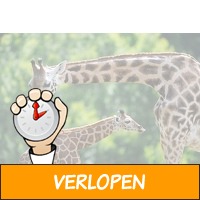 Veiling: Wildlands in Emmen tickets (2 p.)