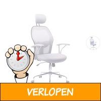 Kangaro Executive ergonomische bureaustoel