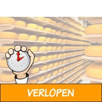 Veiling: Gouda jong kaaswiel van Henri Willig 3,6 kg (4..