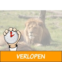 ZooParc Overloon entreeticket