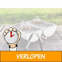 RVS Houtskool Barbecue - Gemakkelijk mee te nemen