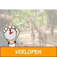 DierenPark Amersfoort entreeticket